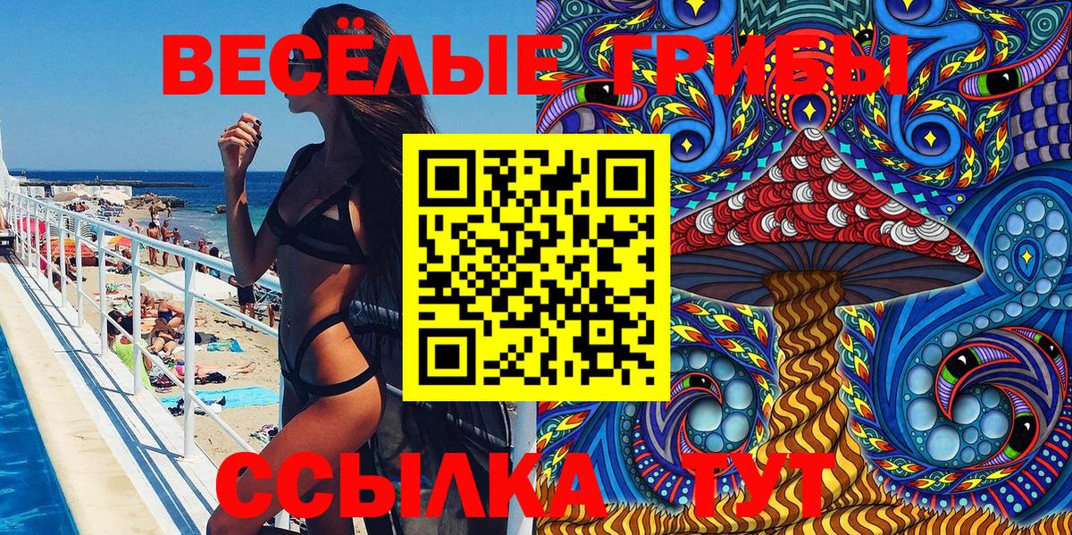 Псилоцибиновые грибы Psilocybe Белебей