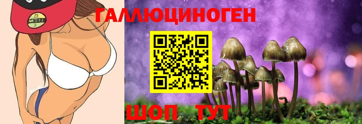 Псилоцибиновые грибы мицелий  Вход с VPN  Белебей 